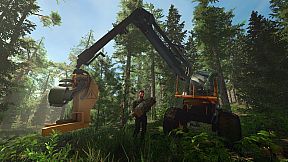 Forester Simulator