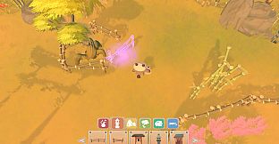 Zoto's Garden