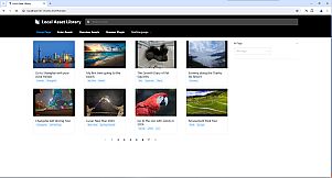 Local Asset Library