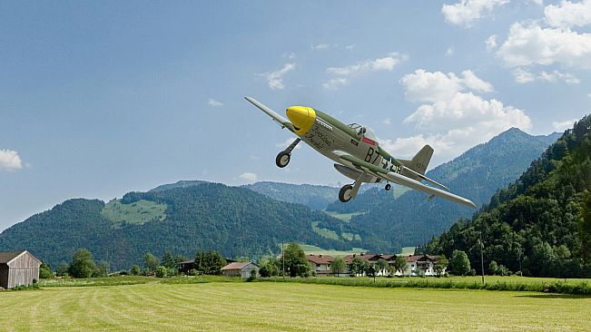 RealFlight Evolution – E-flite P-51D Mustang 1.0m