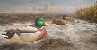theHunter: Call of the Wild - Duck and Cover Pack