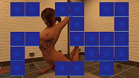 Sexy Memory Puzzle - Futanari Striptease