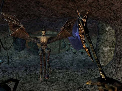 The Elder Scrolls III: Morrowind Game of the Year Edition
