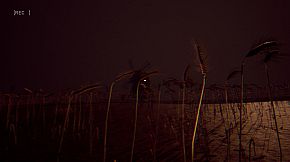 Vincent's Horror Story