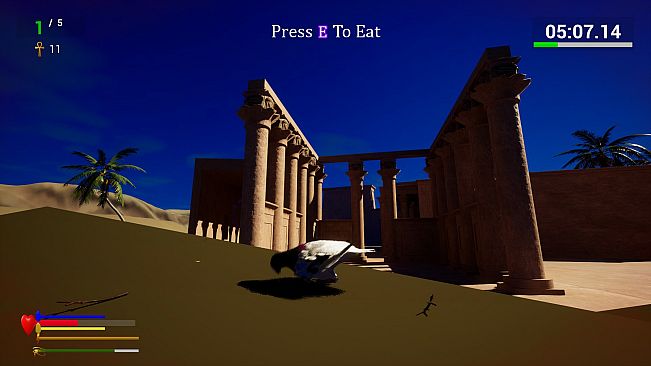 Unexpected Pigeon Race