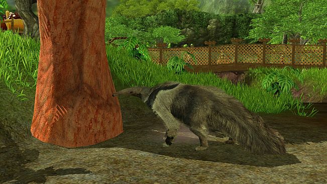 Wildlife Park 3 - Amazonas