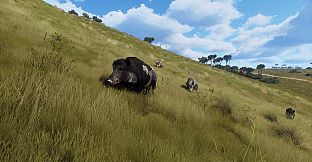 Way of the Hunter - Matariki Park