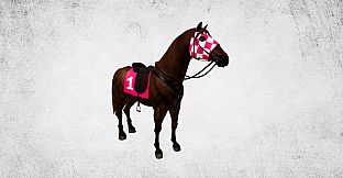 Capsa - Vehicle Race Pack