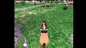 Grand horse attraction