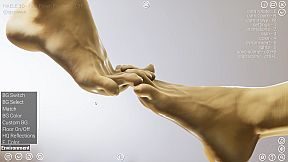 HAELE 3D - Feet Poses Pro - Drawing References