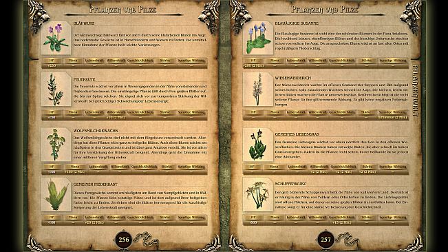 Two Worlds Strategy Guide