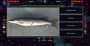 I've Seen Everything - More Fishes