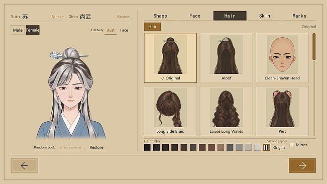 Guixu Cultivation: Mortal Realm - Salt and Pepper Hair