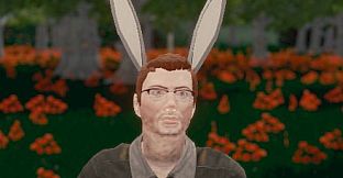 Hide and Seek - Rabbit Ears