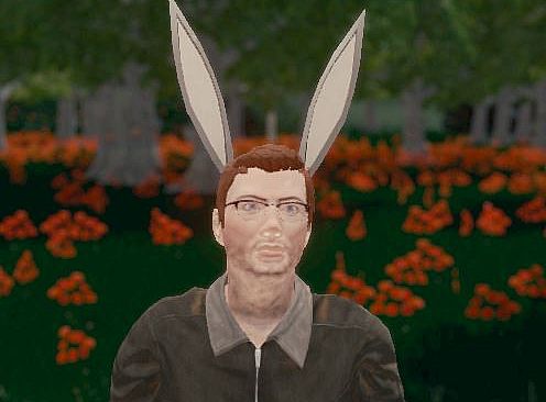 Hide and Seek - Rabbit Ears