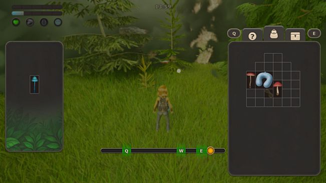 Quiet Grove: Lost in the Fog