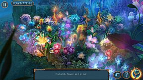 Maze of Realities: Synergy of Worlds Collector's Edition