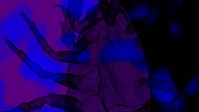 Eon of the Green: Area Delta (Prologue)