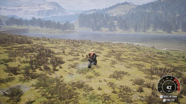 PROJECT HUNT - Skull Rider