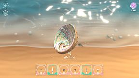 Seashell