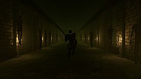 Life in the Twilight