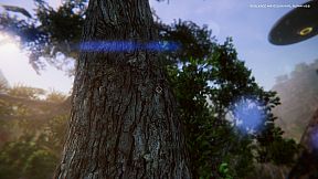 Resilience Wave Survival