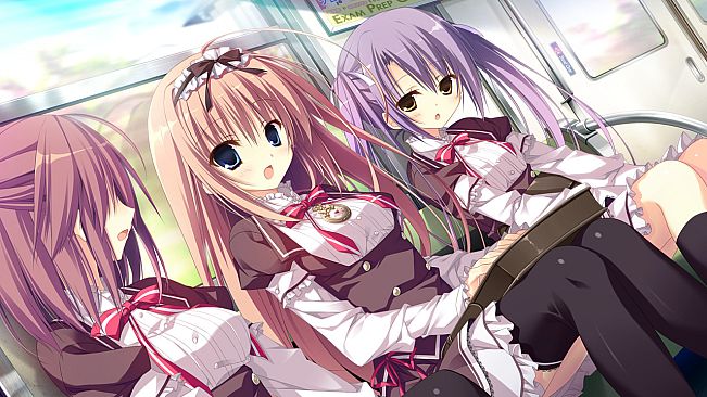 The Witch's Love Diary