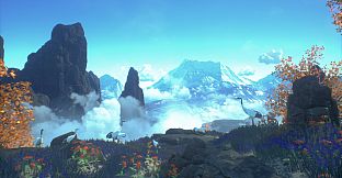 Asemblance Collection