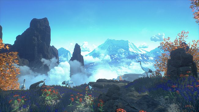 Asemblance Collection