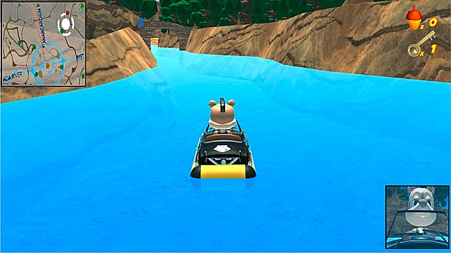 Squirrels Forest Race