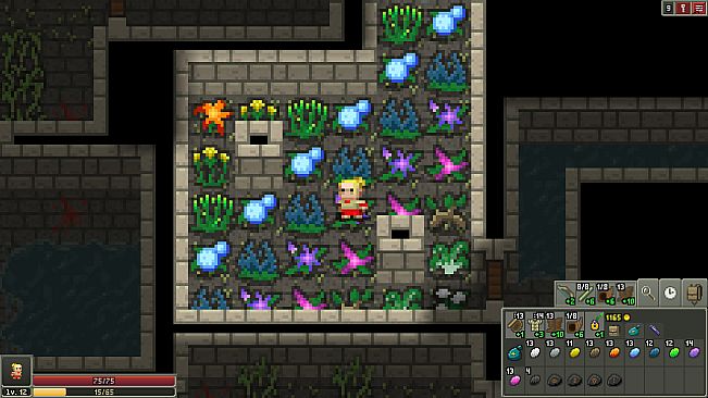 Shattered Pixel Dungeon