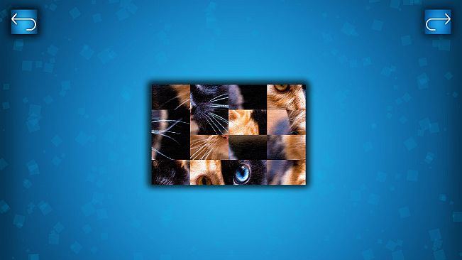PUZZLE: CATS & DOGS