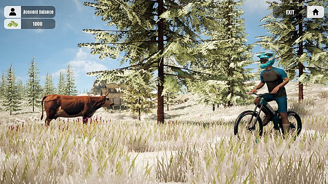Mountain Bicycle Rider Simulator