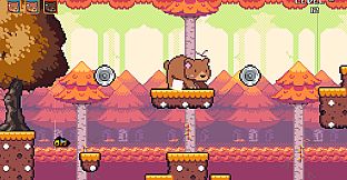 Grizzly Bear is Hungry