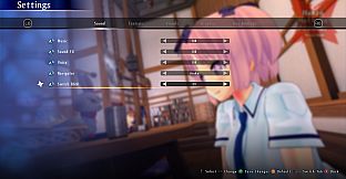 SENRAN KAGURA Burst Re:Newal - ESTIVAL VERSUS BGM Pack