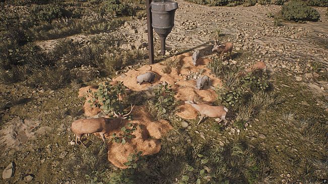 PROJECT HUNT - LONE STAR HUNTING RANCH