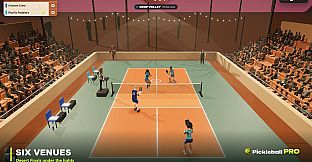 Pickleball Pro