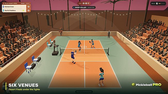 Pickleball Pro