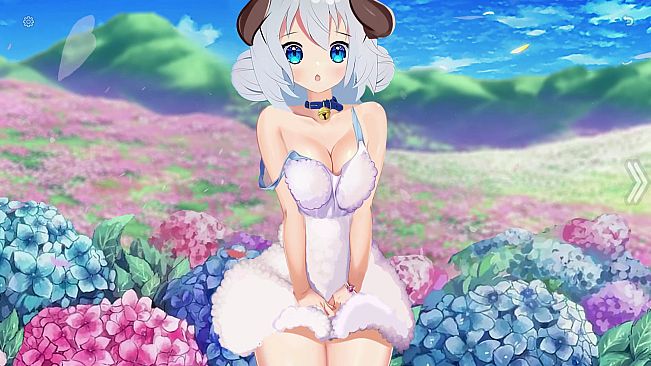 Dream Girls Collection