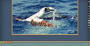 Jigsaw Puzzle Pack - Pixel Puzzles Ultimate: PP2 Birds