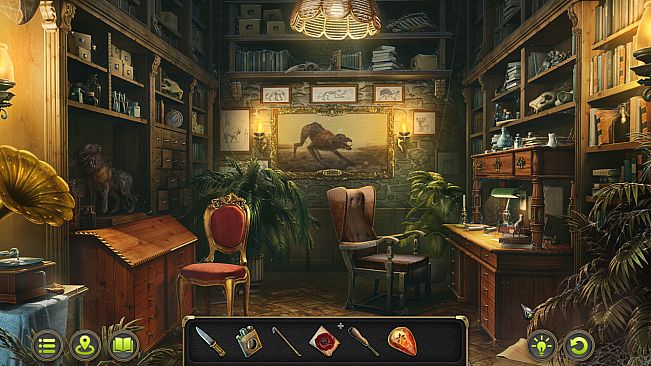 Mystery Detective Adventure Collector's Edition