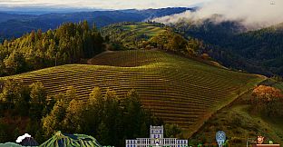 Fishing Tales: Neko's Journey