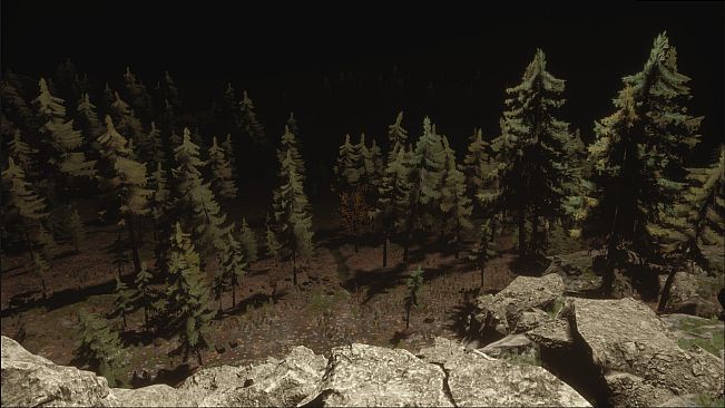 The Forgotten Killer