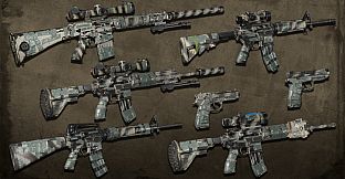 Squad Weapon Skins - Second Tour Pack