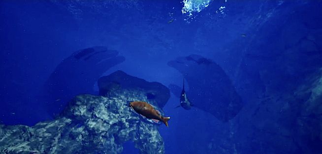 Aquarium at August 32nd VR