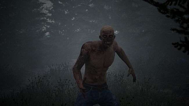 The Refuge