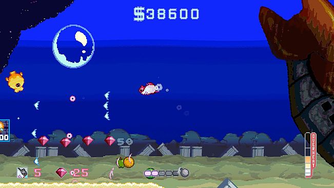 NARWHAR Project Hornwhale