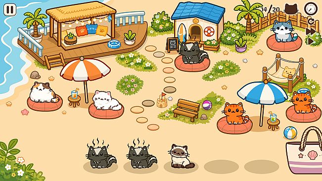 Cats And Pillows