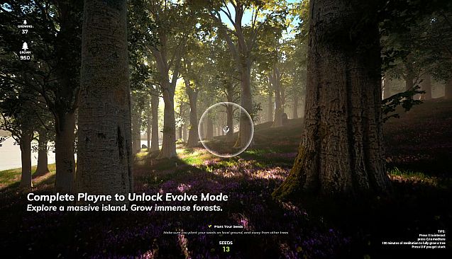 PLAYNE : The Meditation Game