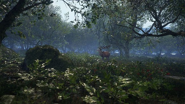 theHunter: Call of the Wild - Scotland Hunting Reserve